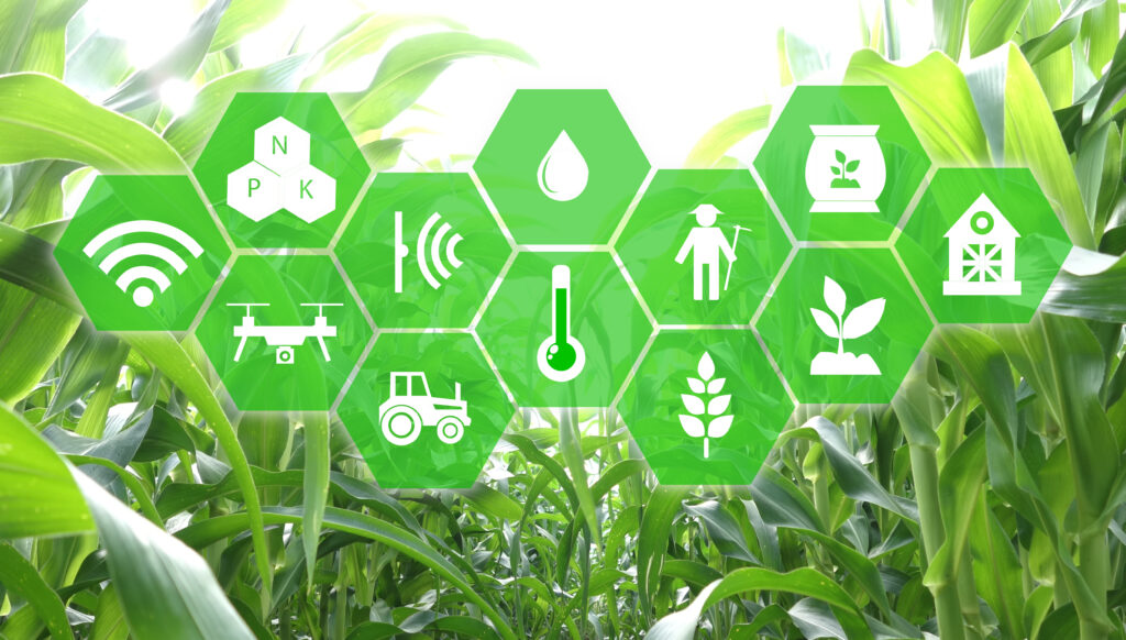 iot, internet of things, agriculture concept, Smart Robotic (artificial intelligence/ ai) use for management , control , monitoring, and detect with the sensor in the farm, field.
